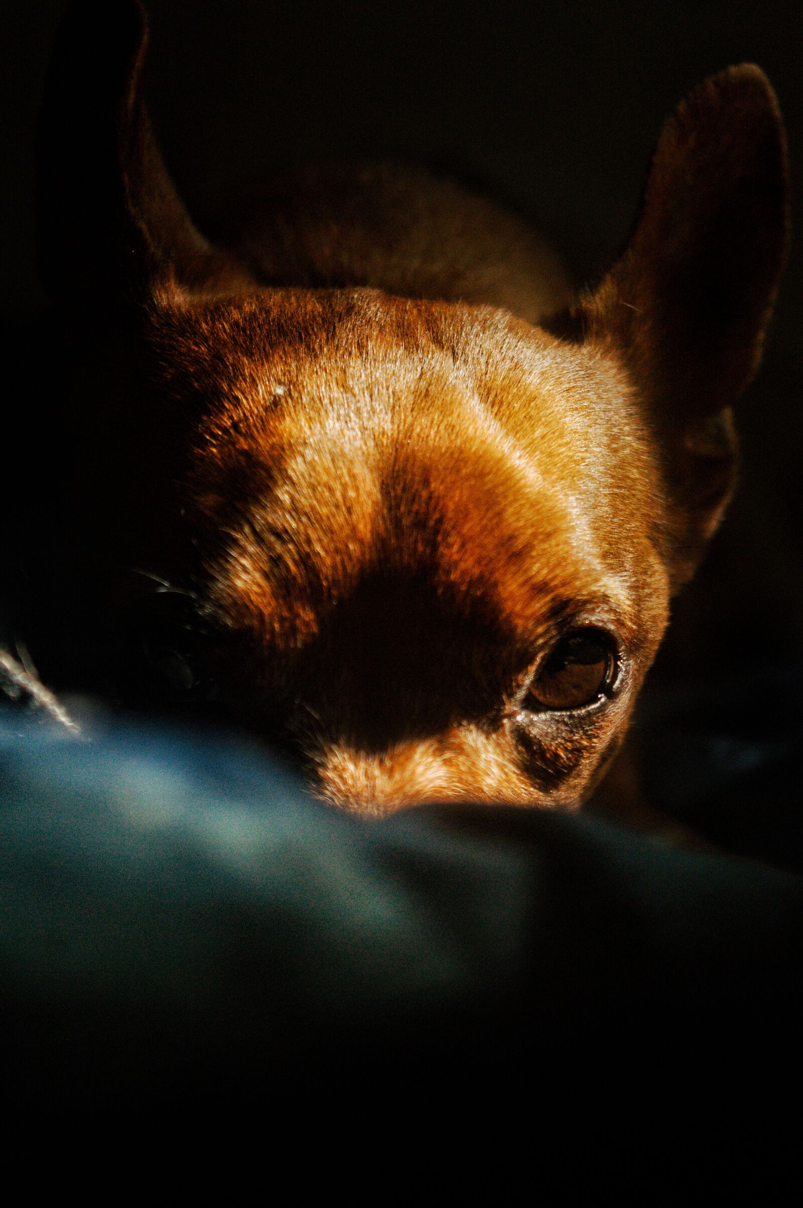 Nikon D3200 sample photo
