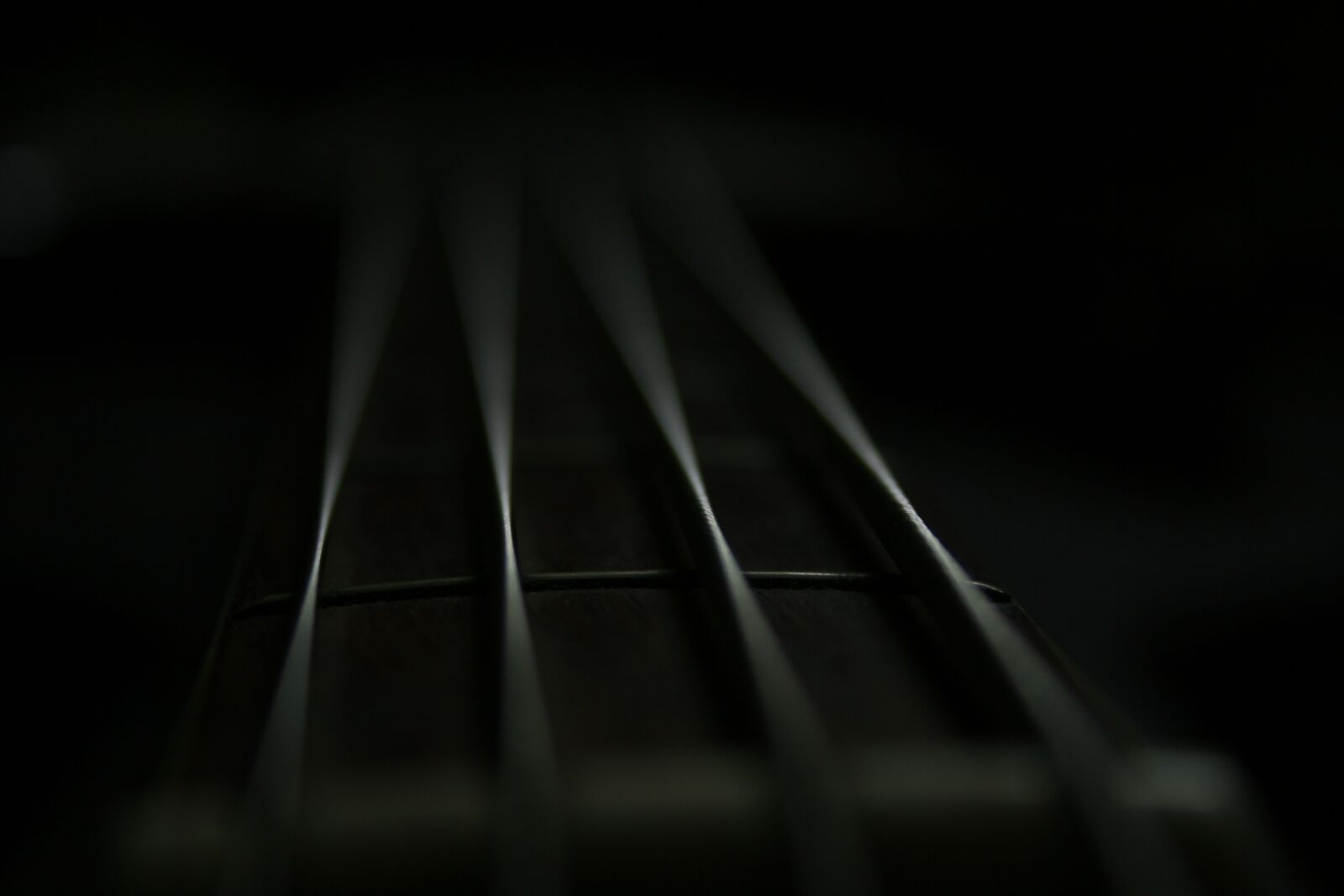 Canon EOS 400D (EOS Digital Rebel XTi / EOS Kiss Digital X) sample photo. Low, rope, guitar bassist photography
