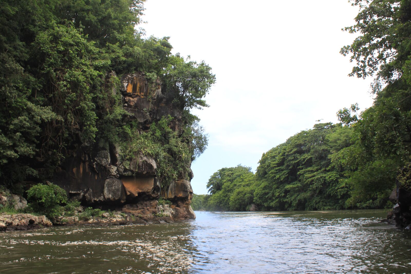 Canon EOS 500D (EOS Rebel T1i / EOS Kiss X3) sample photo. Tributary, rock, tropical forest photography
