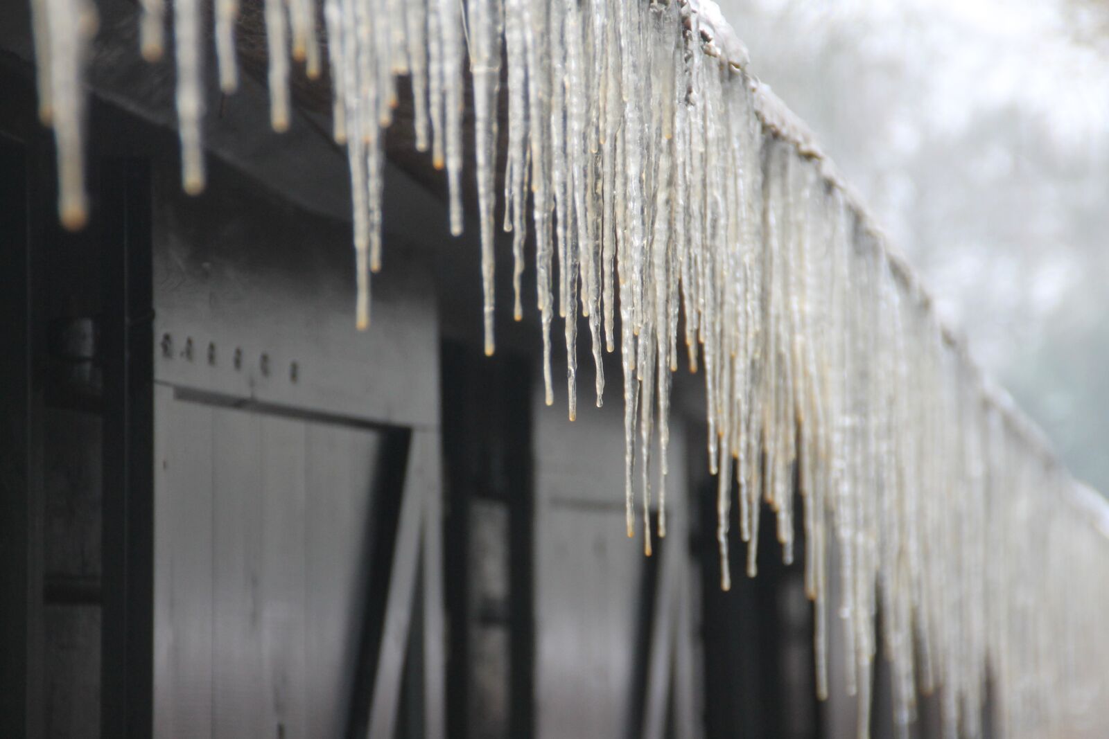 Canon EOS 1100D (EOS Rebel T3 / EOS Kiss X50) sample photo. Icicle, ice, winter photography