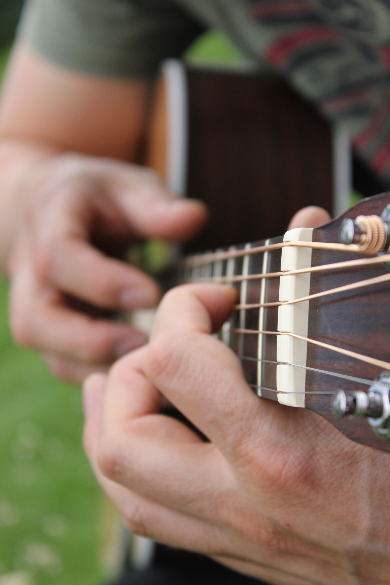 Canon EOS 550D (EOS Rebel T2i / EOS Kiss X4) sample photo. Guitar, close up, garden photography