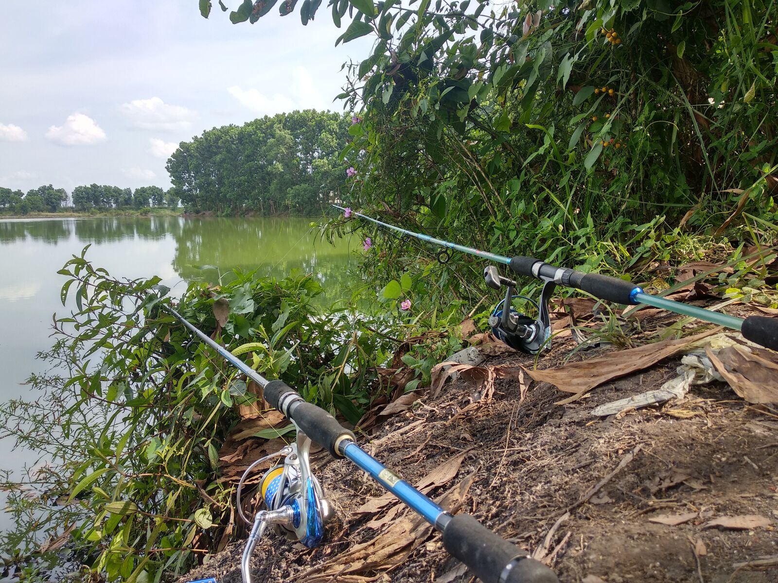 Xiaomi Mi A1 sample photo. Holiday, fish, fishing photography