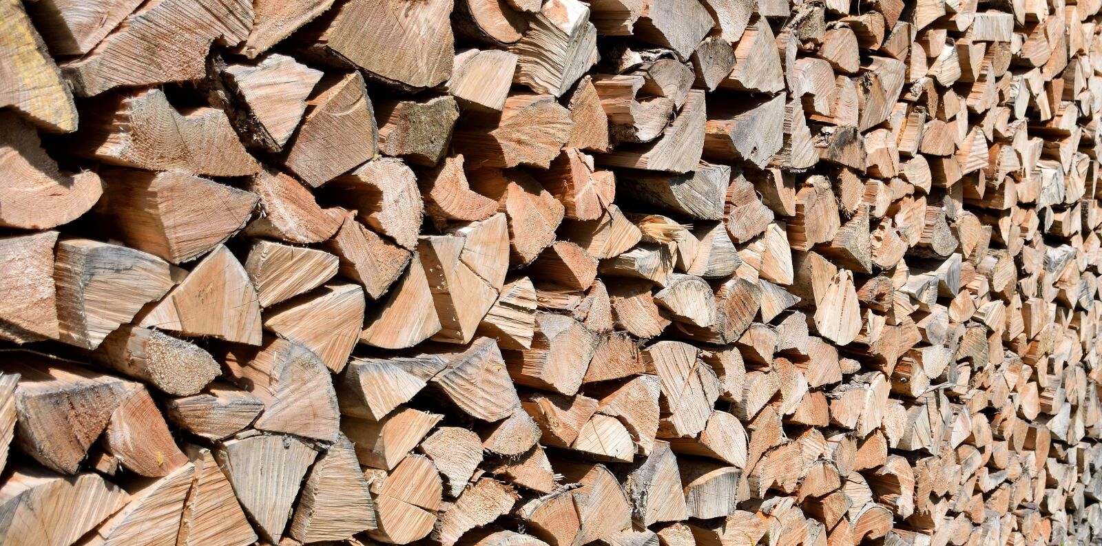 Nikon D5500 sample photo. Wood, background, log photography