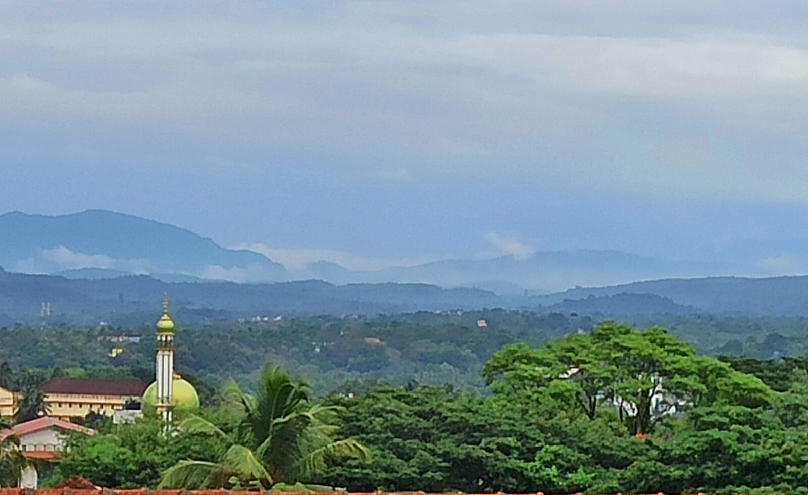 Xiaomi Redmi Note 8 Pro sample photo. Natural, canvas, greenery photography