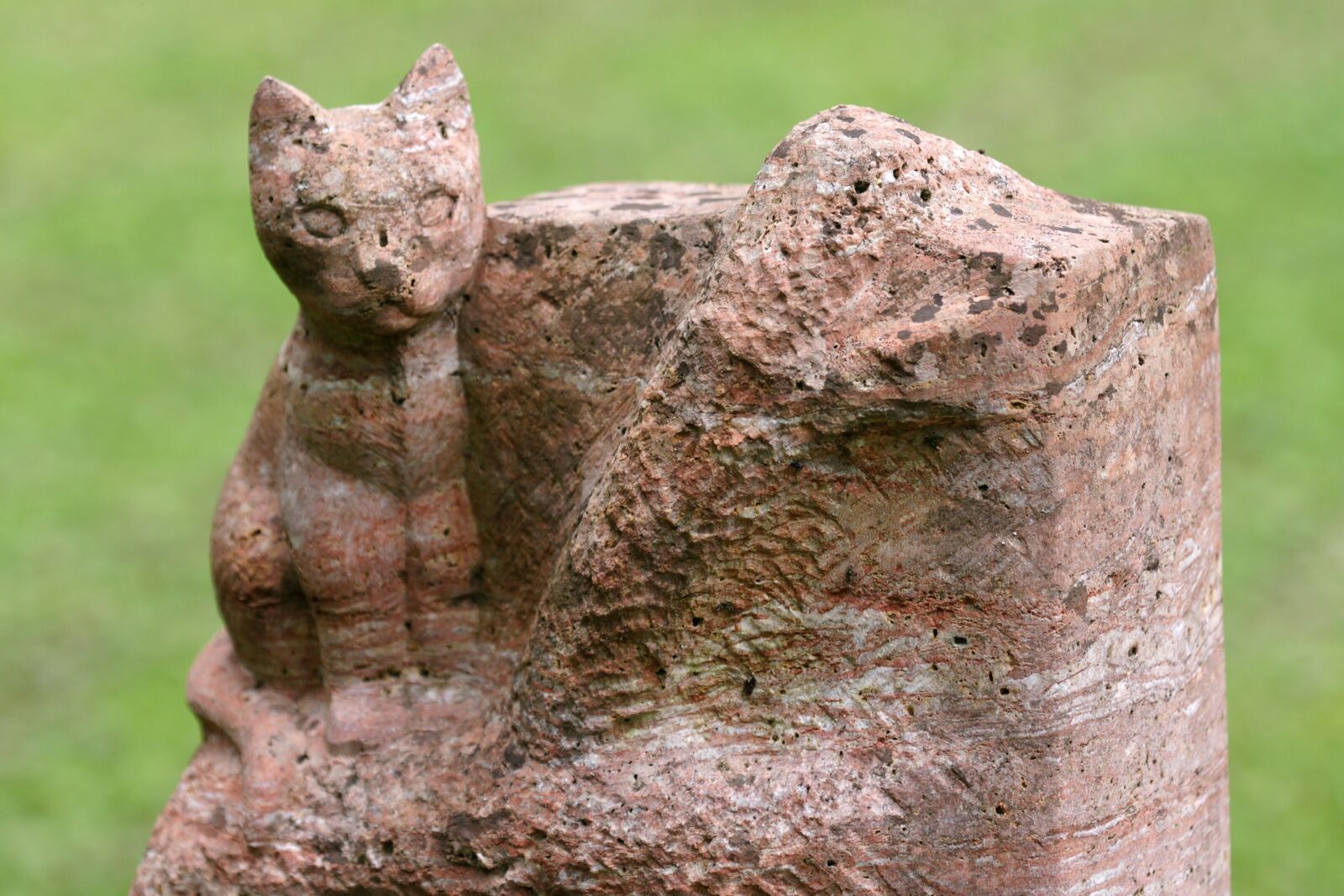 Sony Alpha DSLR-A700 sample photo. Cat, stone, artwork photography