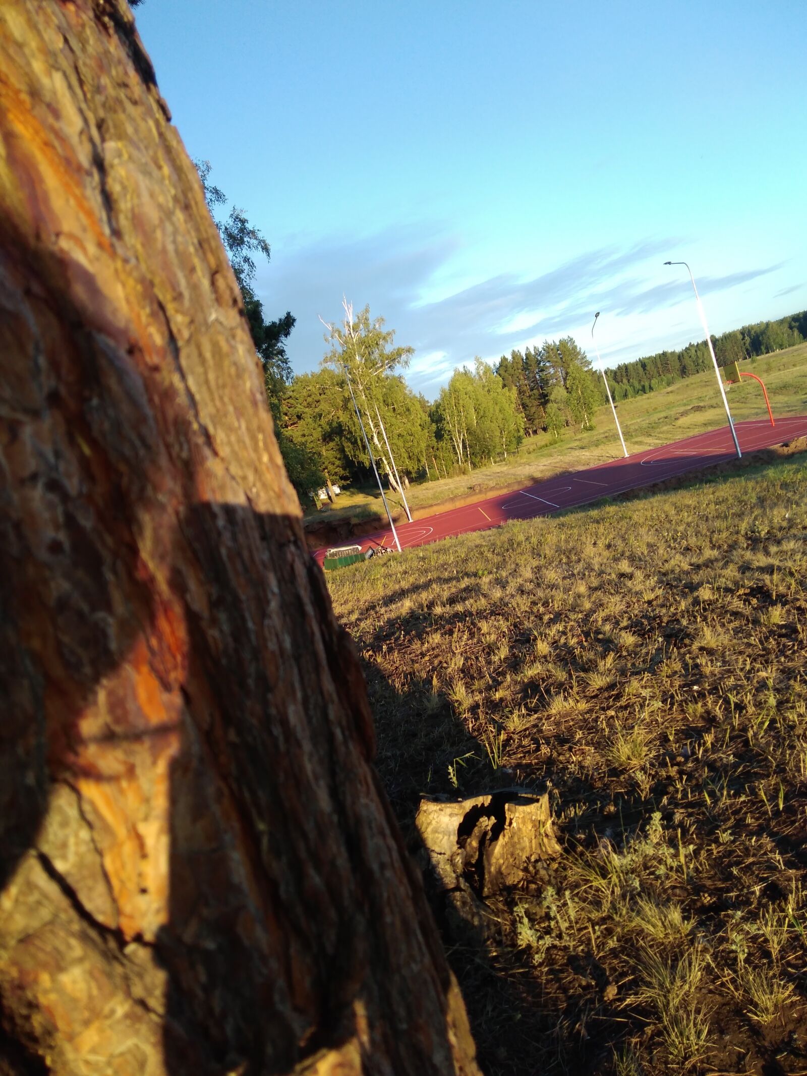 HUAWEI Honor 6A sample photo. Atmosphere, tree, forest photography