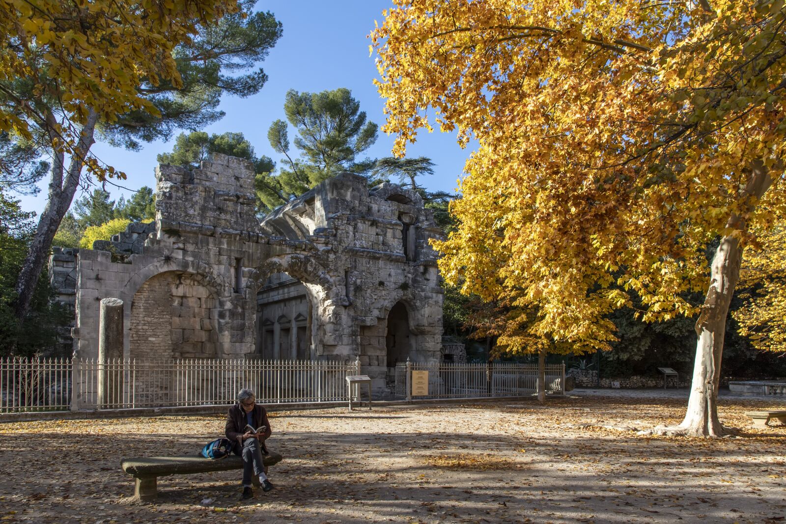 Canon EF 24-105mm F4L IS II USM sample photo. Nimes, gardens of the photography