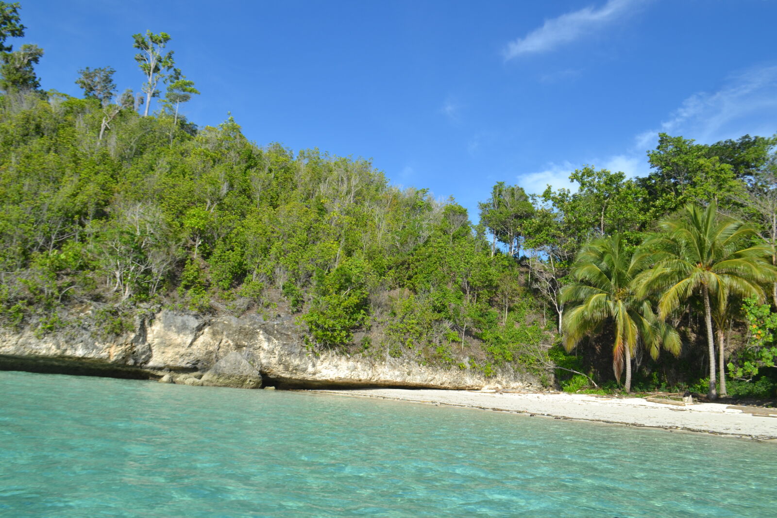 Nikon D3100 sample photo