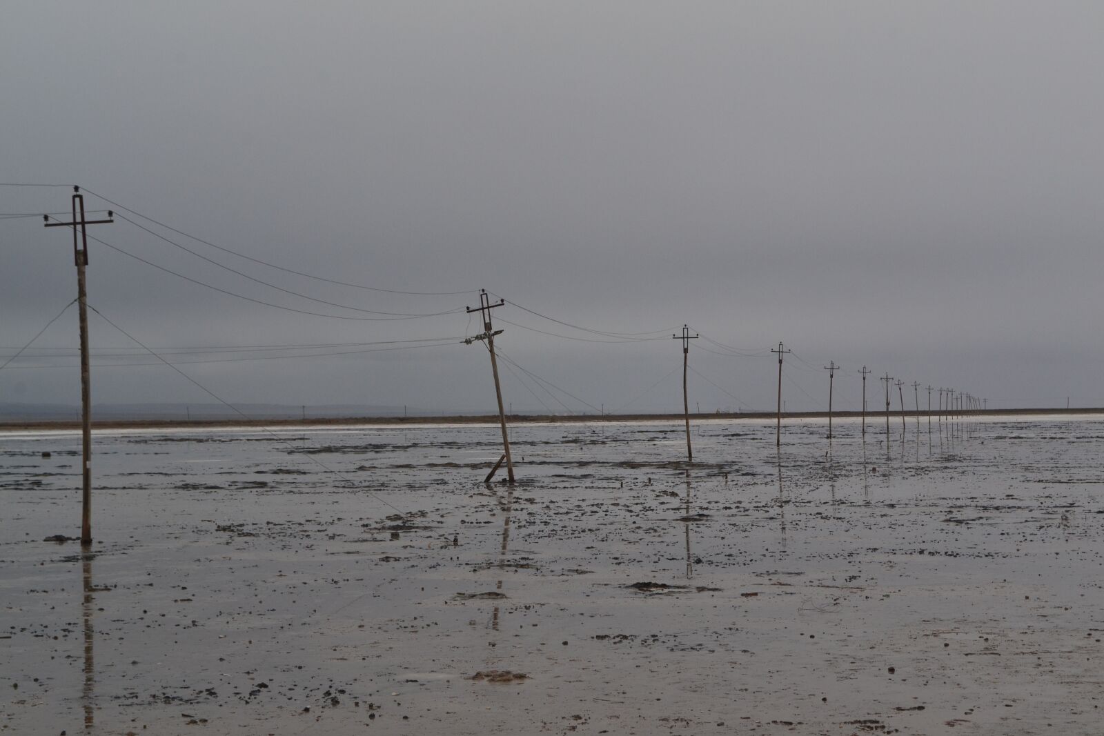 Nikon D3100 sample photo. Telephone poles, white, check photography