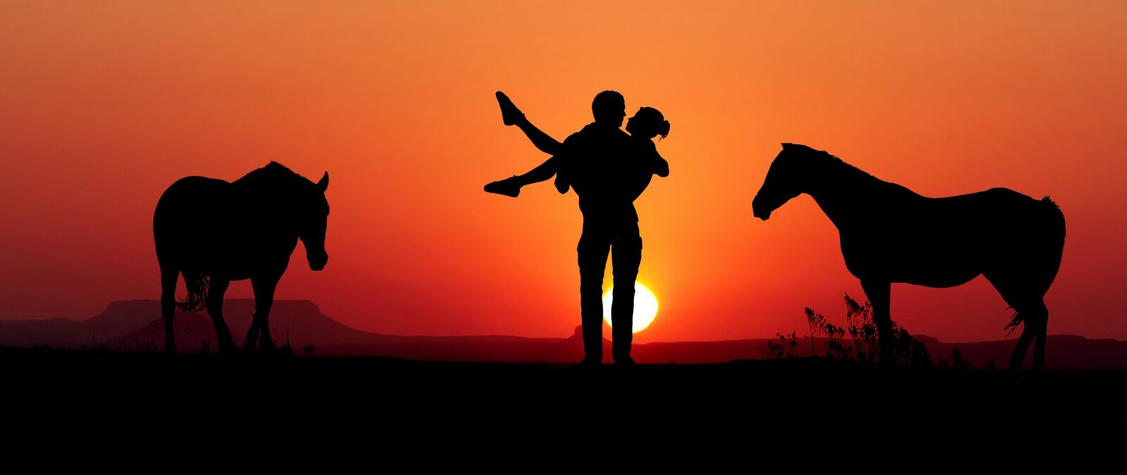 Panasonic Lumix DMC-FZ200 sample photo. Sunset, nature, orange photography