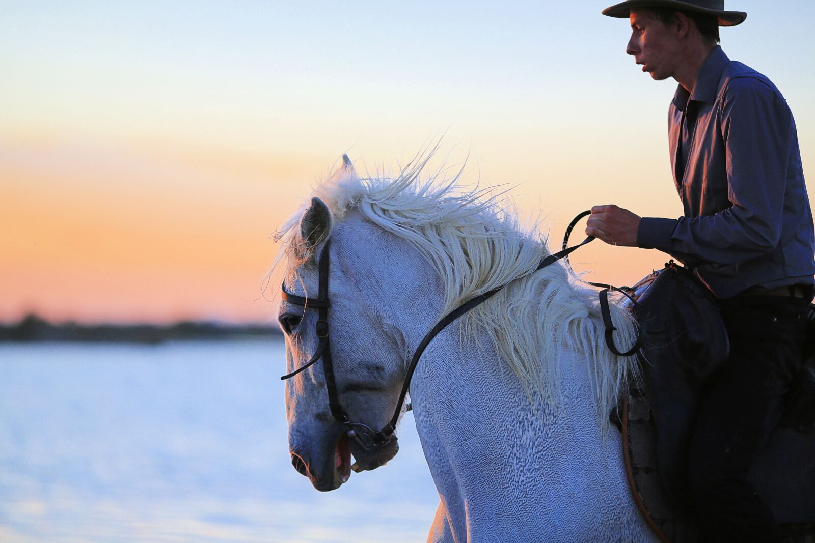 Canon EOS 5D Mark III sample photo. Horse, mane, white horse photography