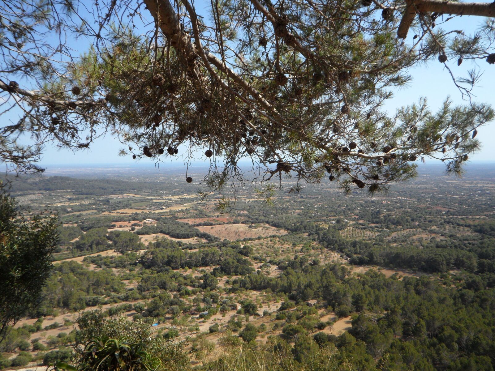 Samsung VLUU WB210, SAMSUNG WB210 sample photo. Mallorca, landscape, outlook photography