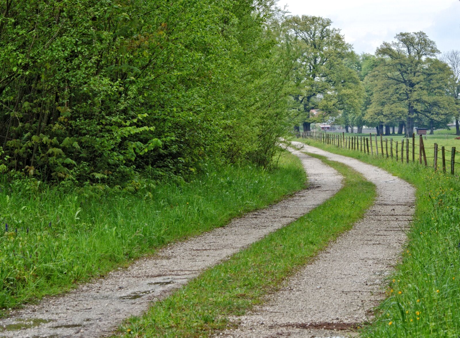 55.0-200.0mm f/4.0-f/5.6 sample photo. Pasture fence, lane, road photography