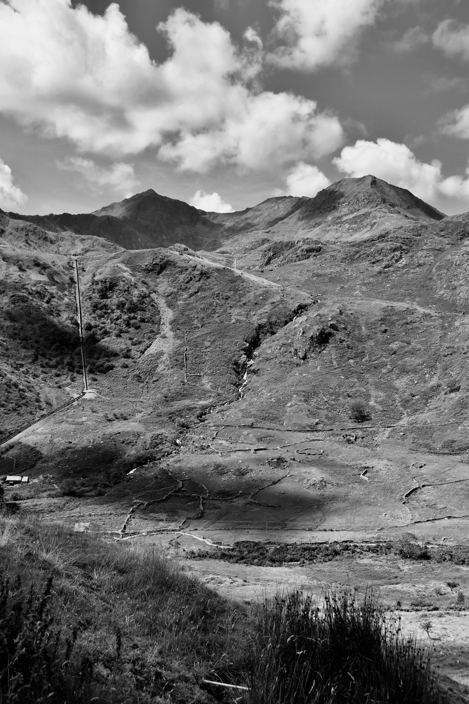 Nikon D5600 sample photo. Black white, moody sky photography