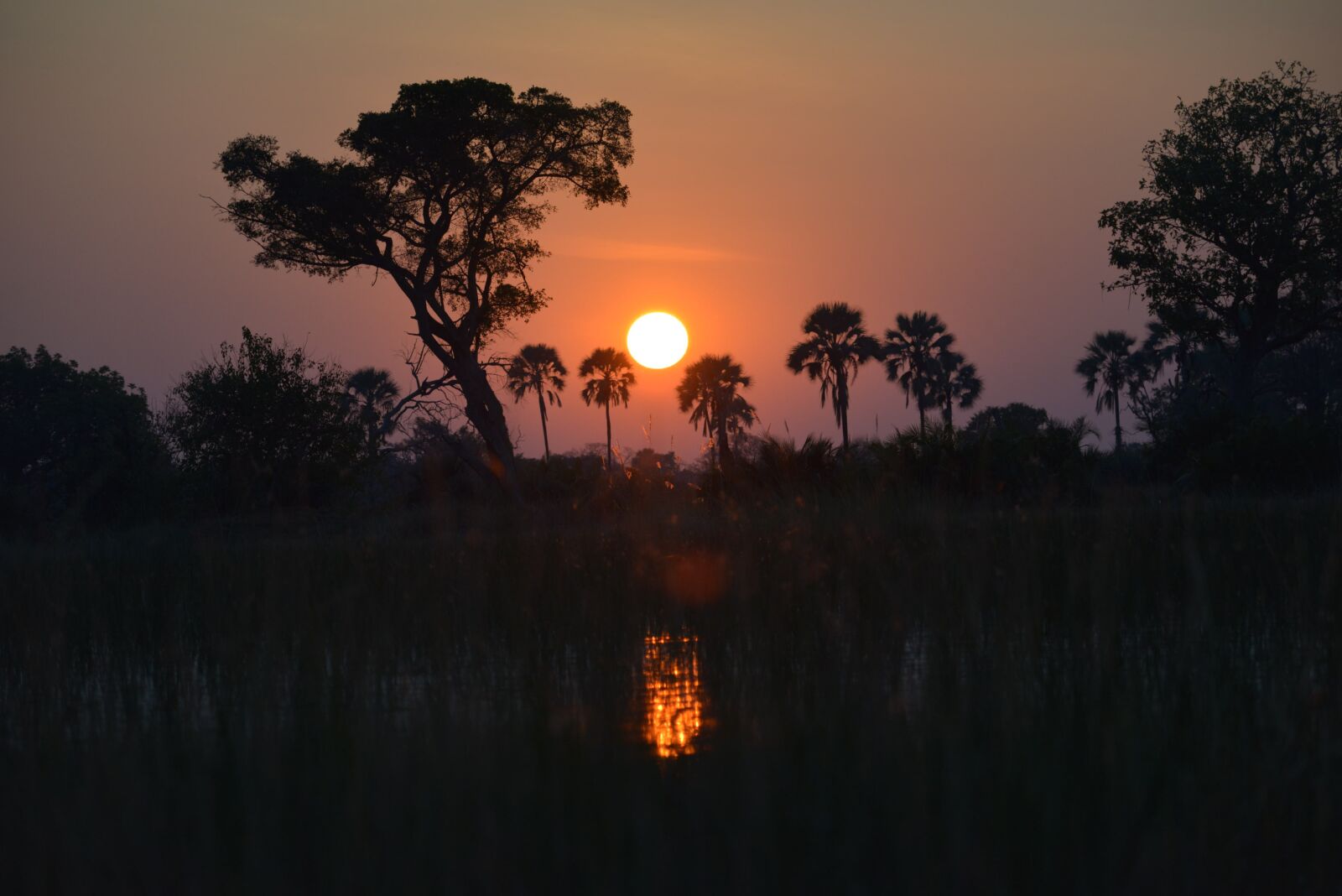 Nikon D800 sample photo. Sunset, botswana, africa photography