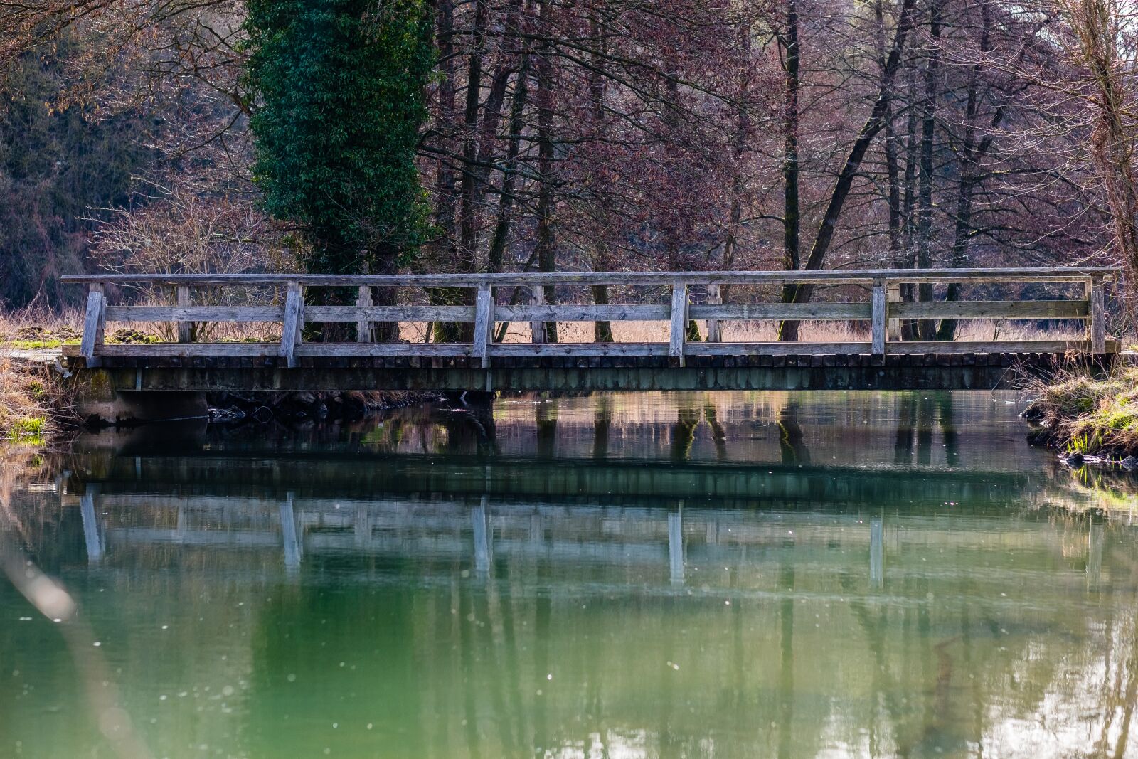 Fujifilm X-T2 + Fujifilm XF 56mm F1.2 R sample photo. Waters, nature, river photography