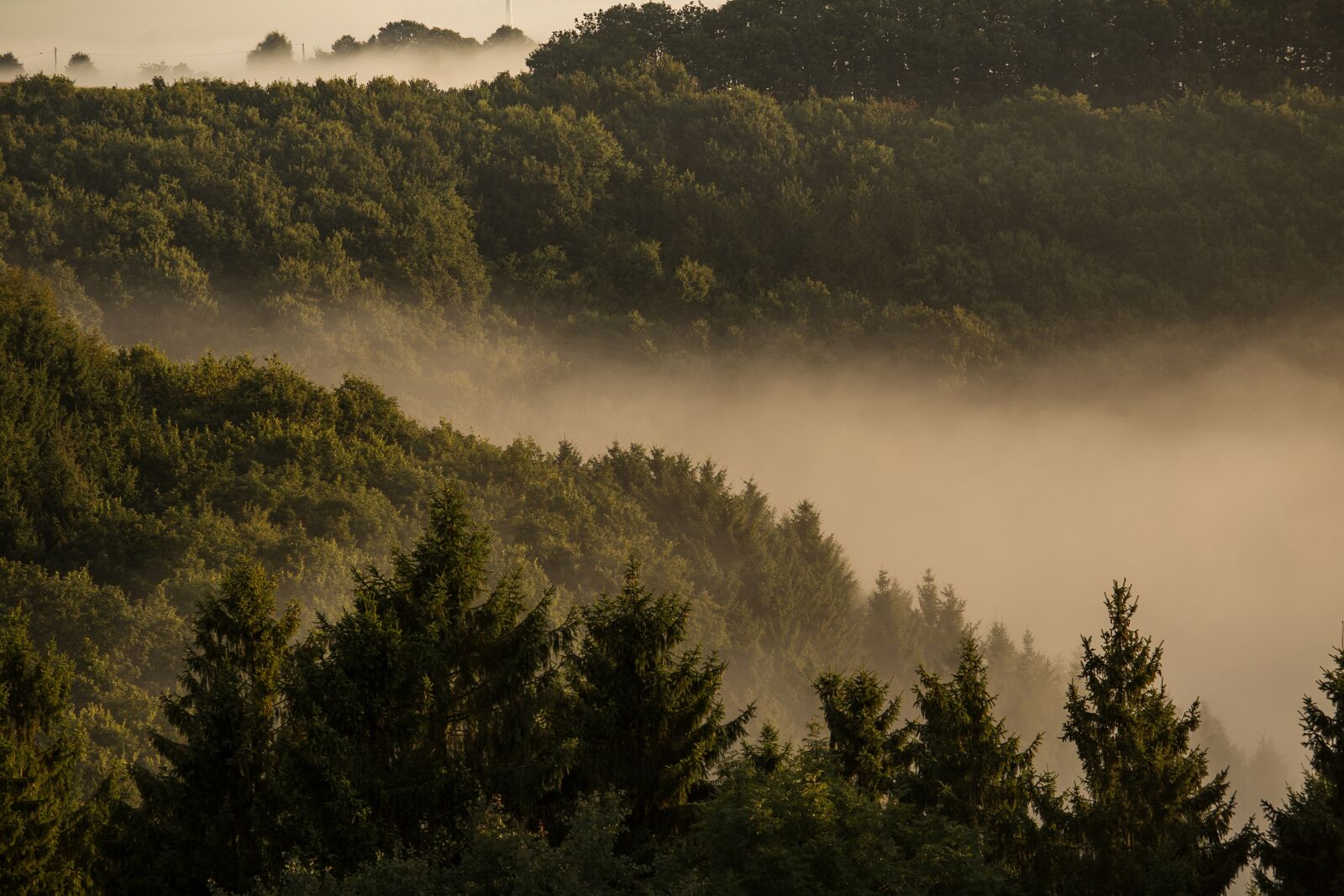 Canon EF 80-200mm f/2.8L sample photo. Fog, forest, mountains photography