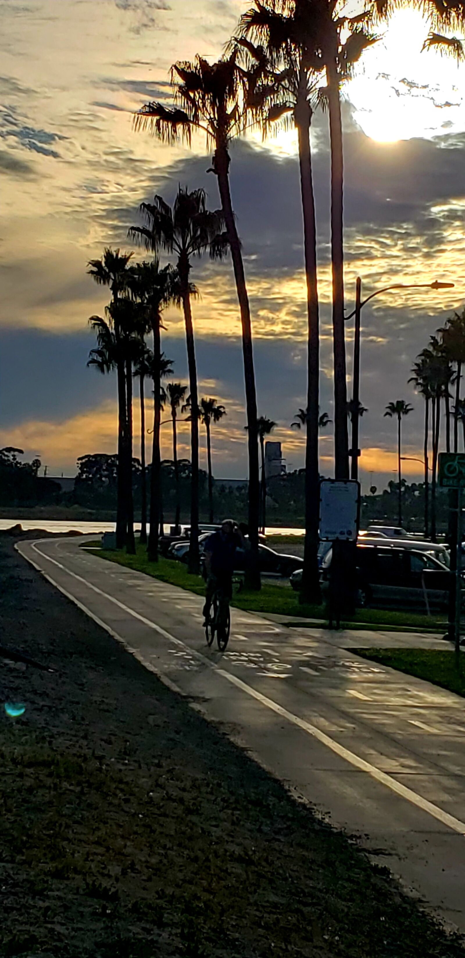 Samsung Galaxy S9 sample photo. Sunset, beach, palm tree photography
