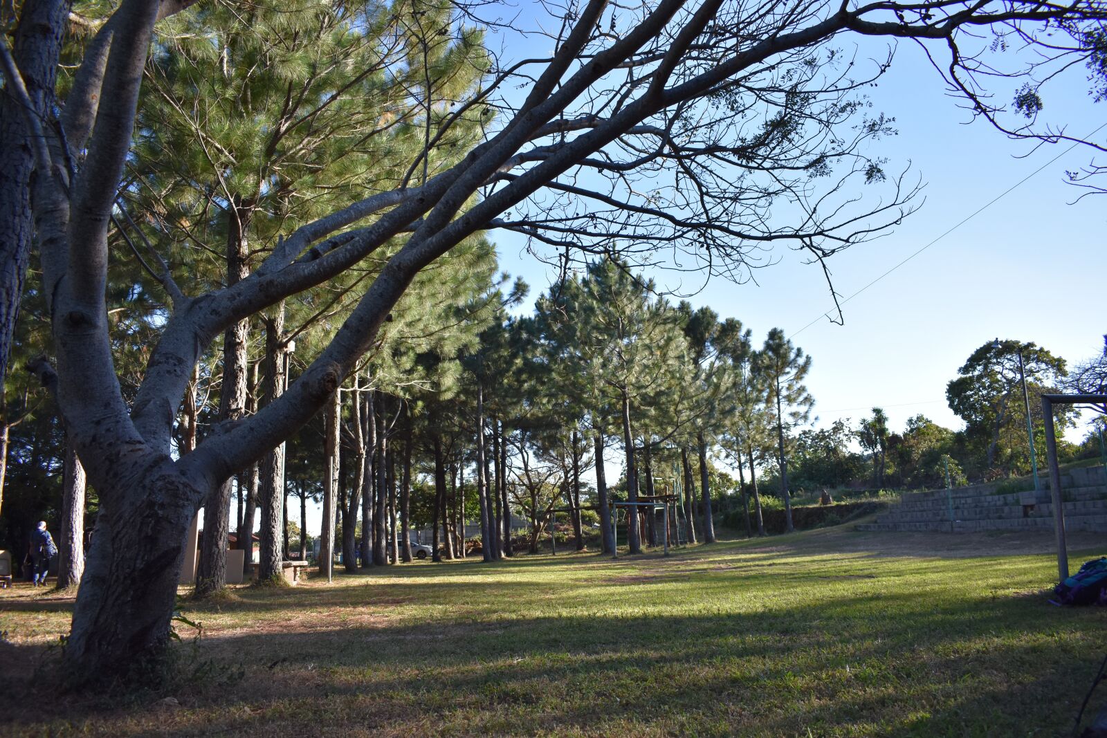 Nikon D3400 sample photo. El salvador, camping, nature photography