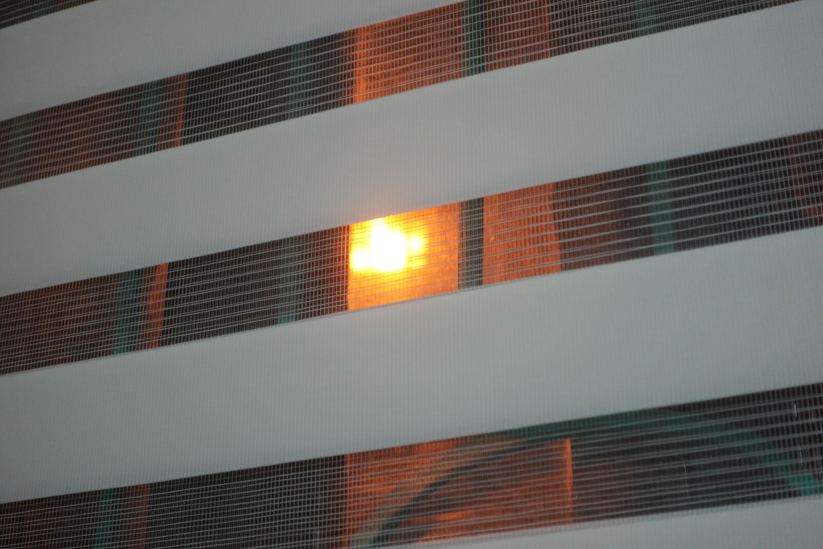 Sony ZV-1 sample photo