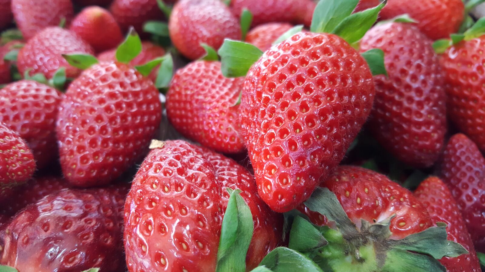 Samsung Galaxy S6 sample photo. Strawberry, red strawberry, fruit photography