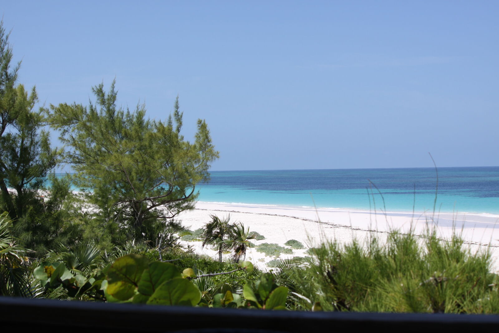 Canon EOS 50D + Canon EF-S 55-250mm F4-5.6 IS sample photo. Bahamas, beach, green, ocean photography