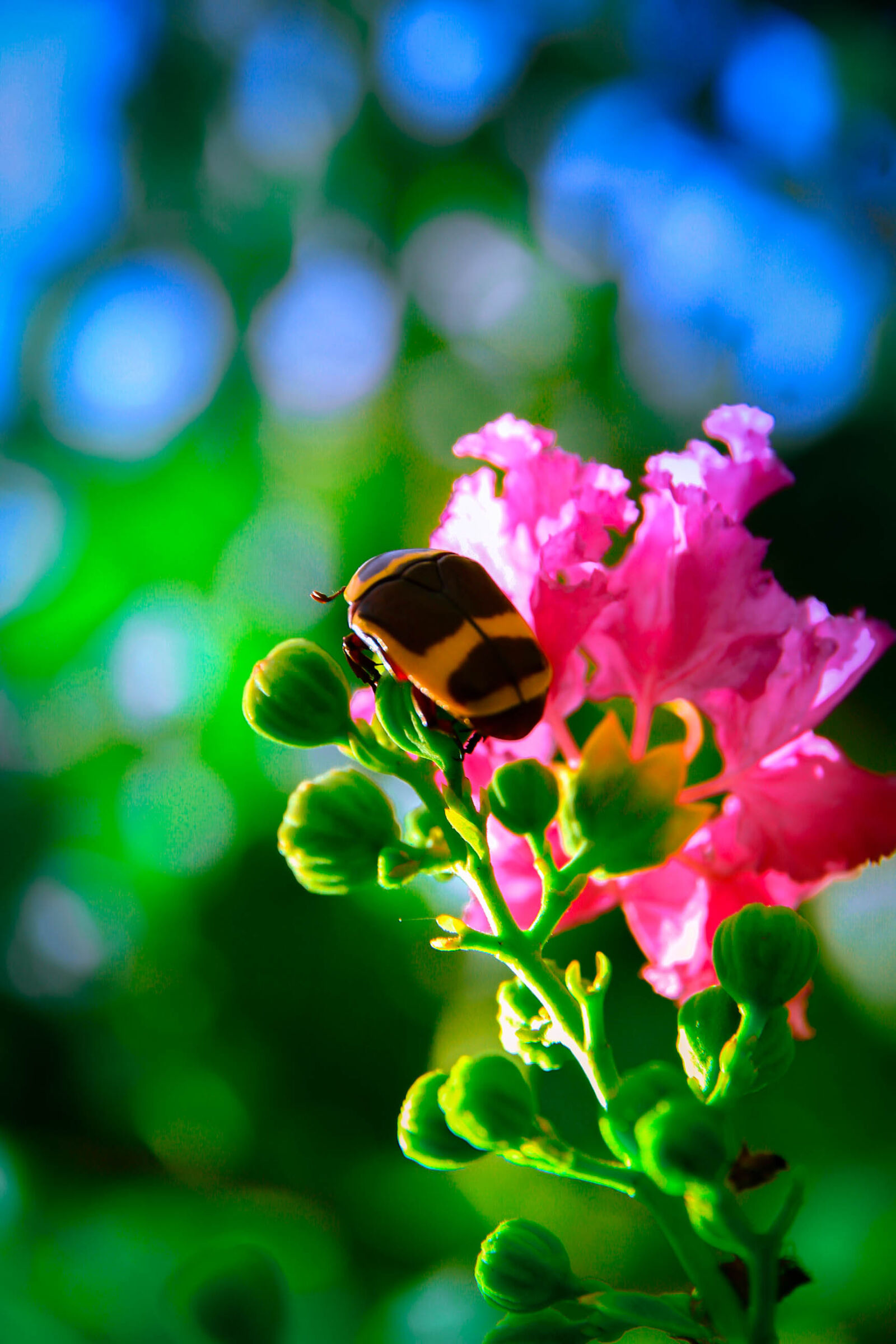 Canon EOS 7D sample photo