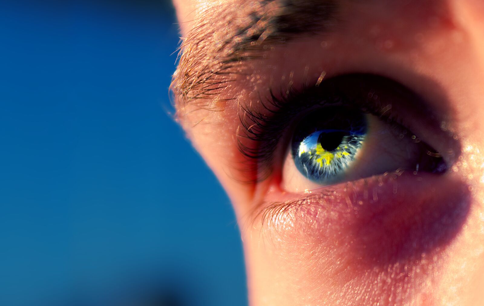 Canon EOS 1300D (EOS Rebel T6 / EOS Kiss X80) sample photo. Eye, blue, macro photography