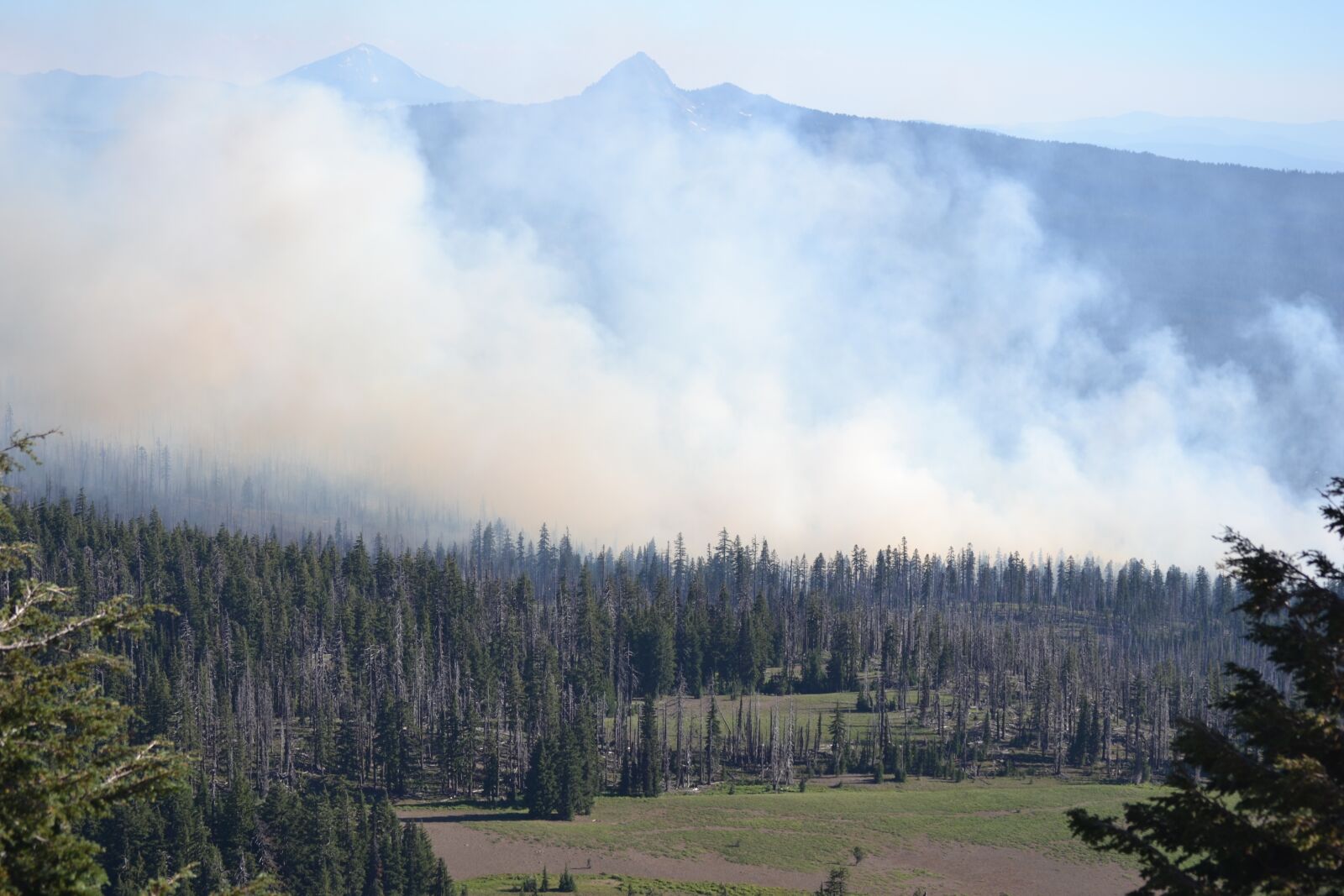 Nikon D3100 sample photo. Wildfire, forestfire, fire photography