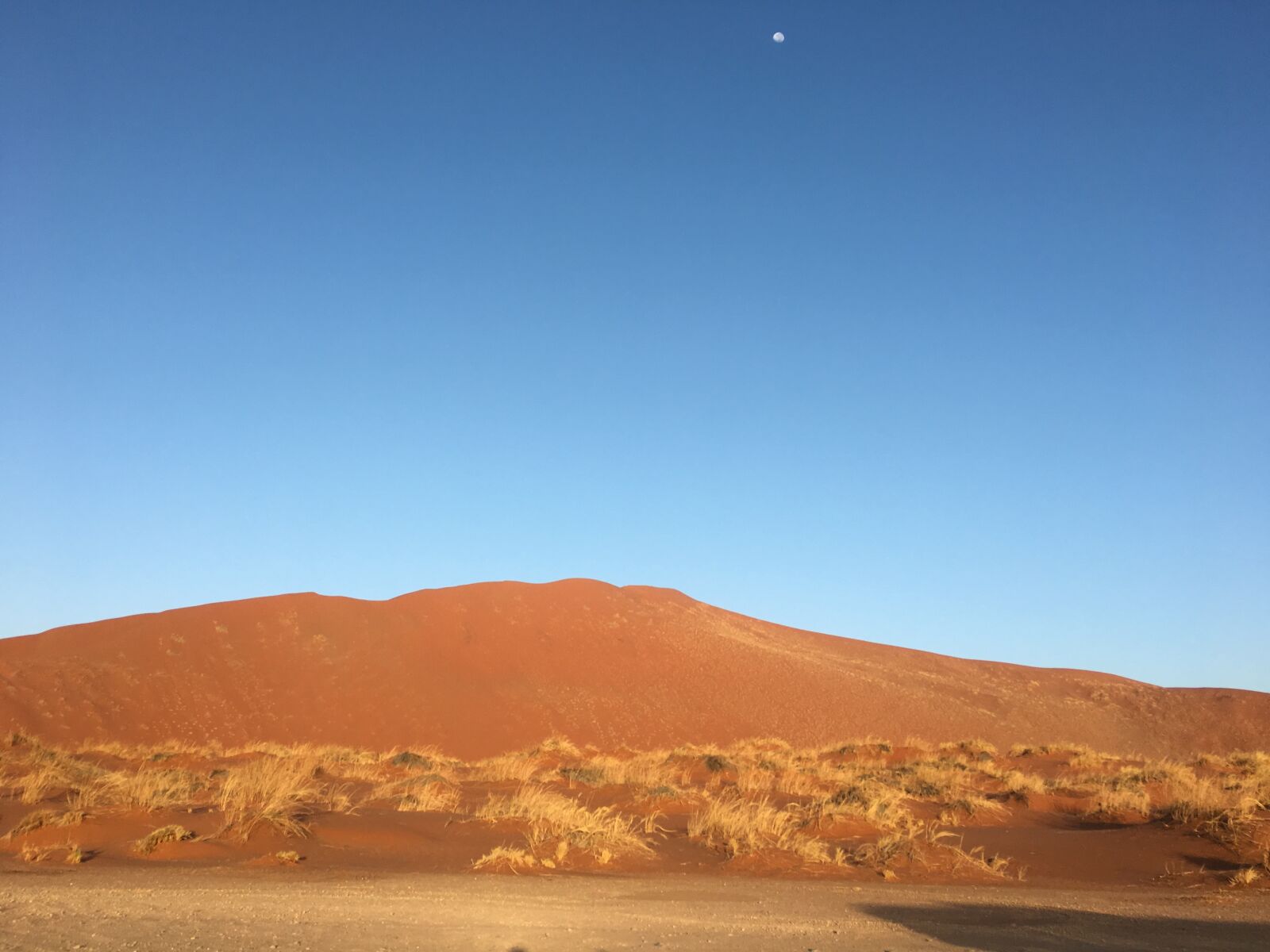 Apple iPhone 6s + iPhone 6s back camera 4.15mm f/2.2 sample photo. Desert, namibia, soussuvlei photography