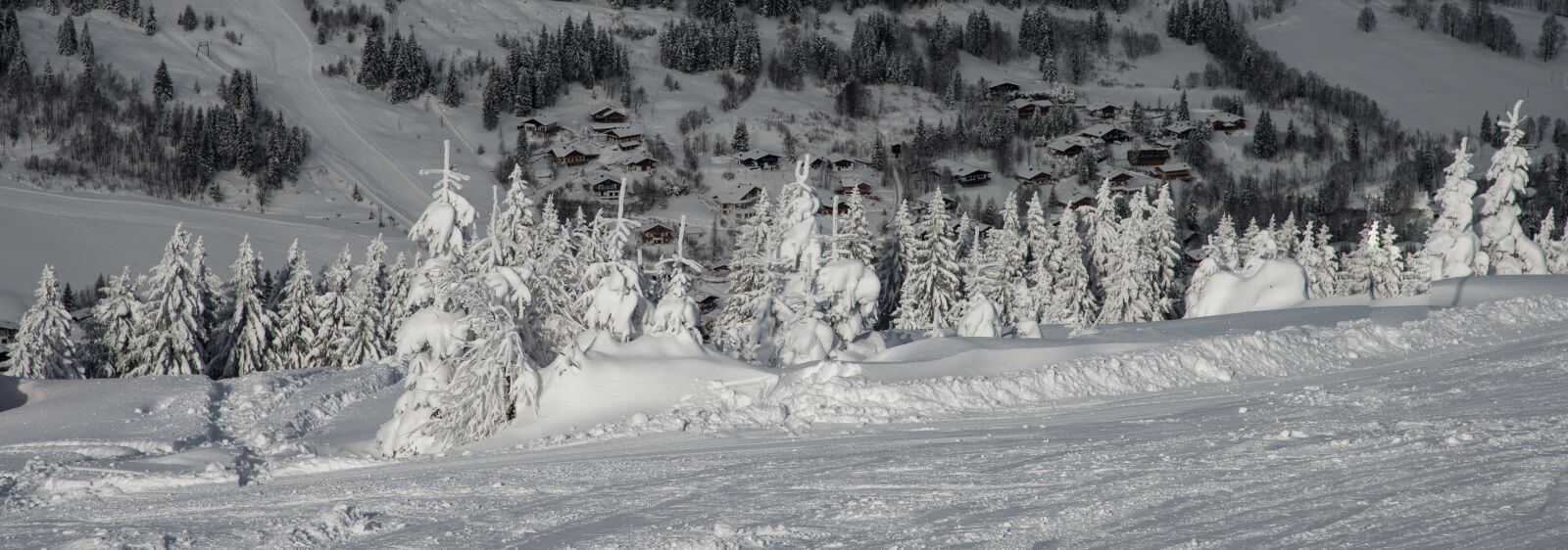 Nikon D800 sample photo. Winter, snow, nature photography
