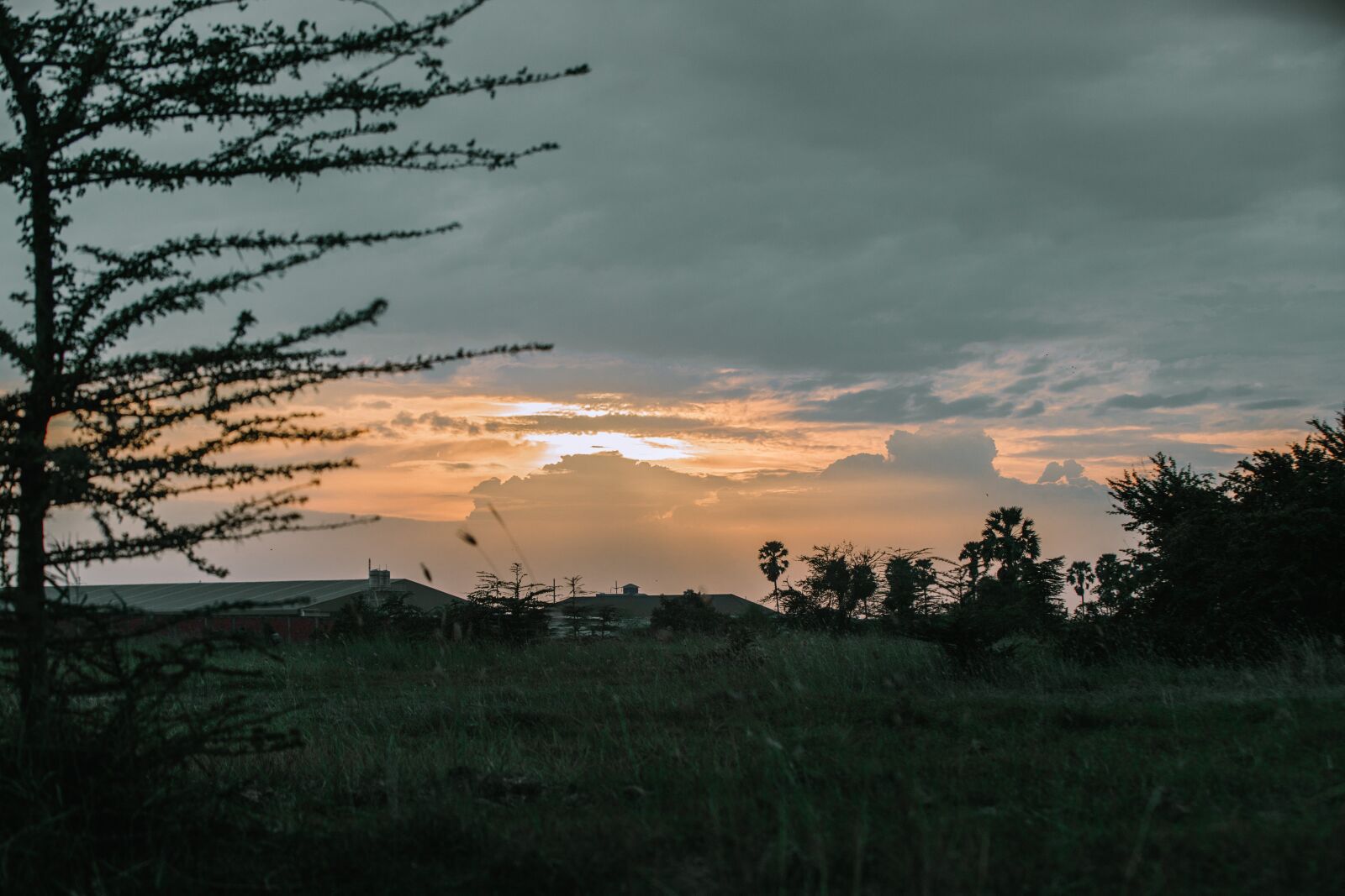 Canon EOS 6D Mark II sample photo. Cambodia, sunset, landscape photography