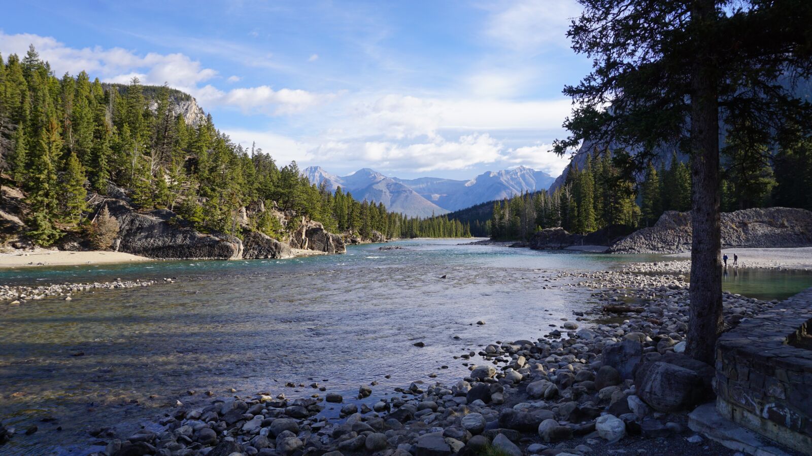 Sony a5100 sample photo. River, nature, wood photography