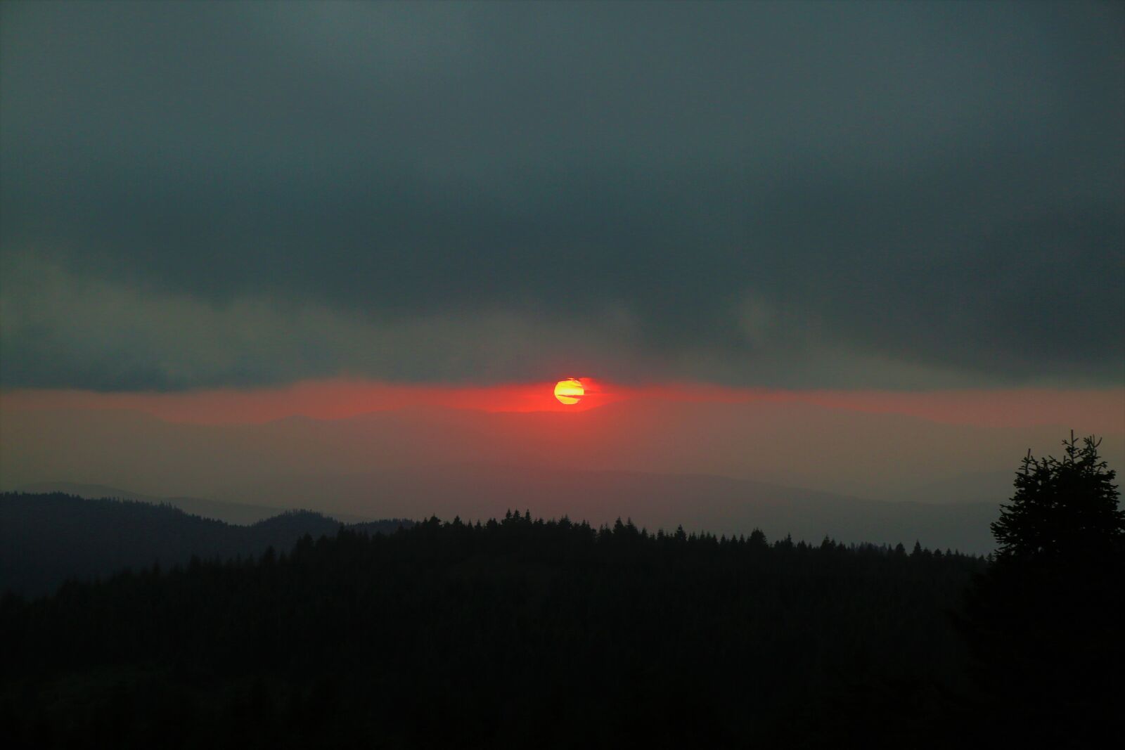 Canon EF 24-105mm F4L IS USM sample photo. Sunset, in the evening photography