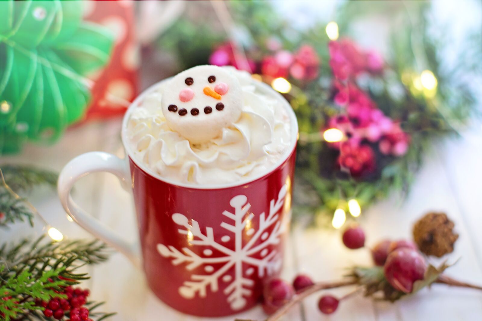 Canon EF 50mm F1.4 USM sample photo. Hot chocolate, whipped cream photography