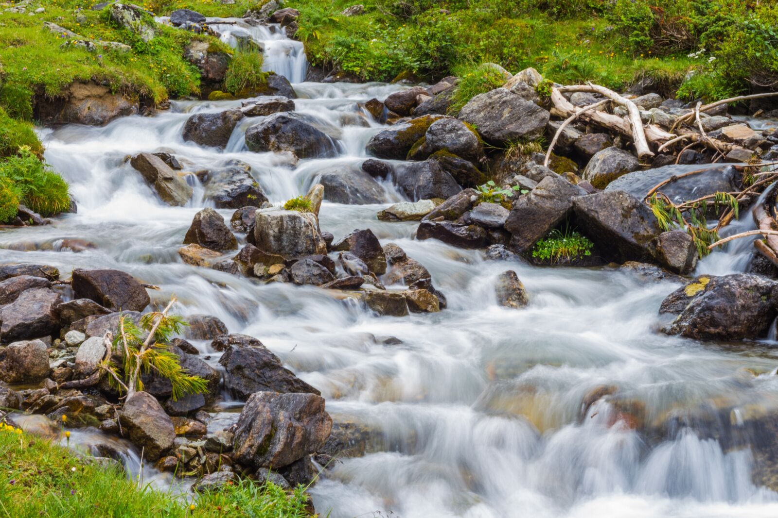 Canon EOS 7D + Canon EF 50mm F1.8 II sample photo. Axams, lizum, nature photography