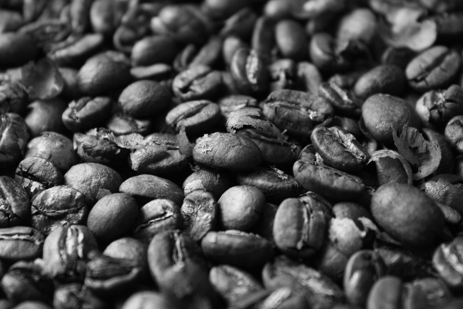 Canon EOS 1000D (EOS Digital Rebel XS / EOS Kiss F) sample photo. Coffee, beans, roasted photography
