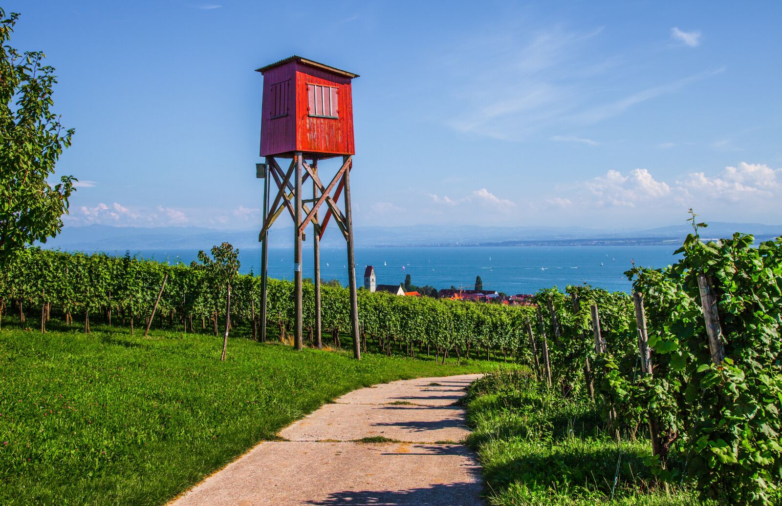 Canon EOS 5D Mark II sample photo. Vineyard, tower, red photography