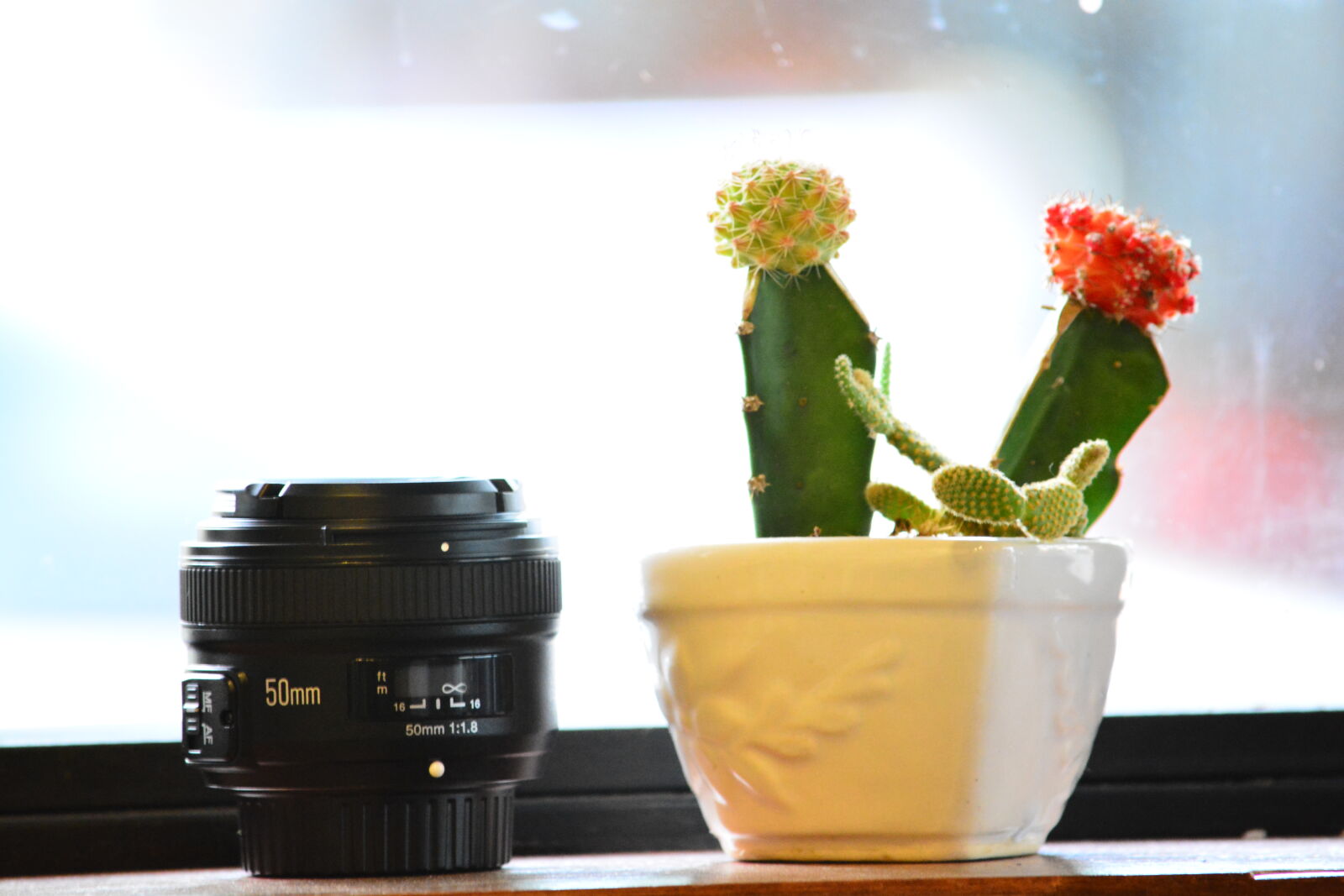 Nikon D7100 sample photo