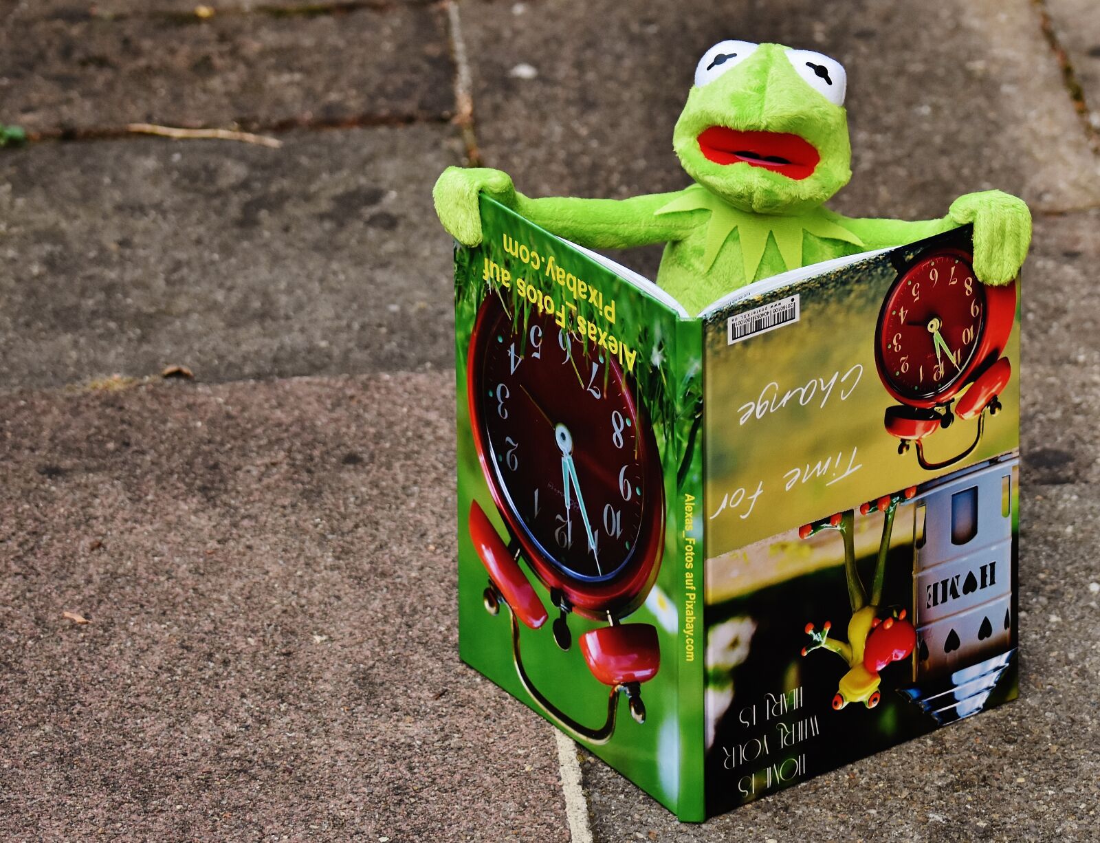 Nikon D7200 sample photo. Kermit, book, picture book photography