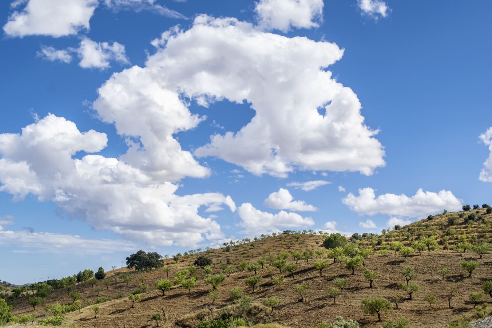 Nikon D3300 sample photo. Landscape, sky, clouds photography
