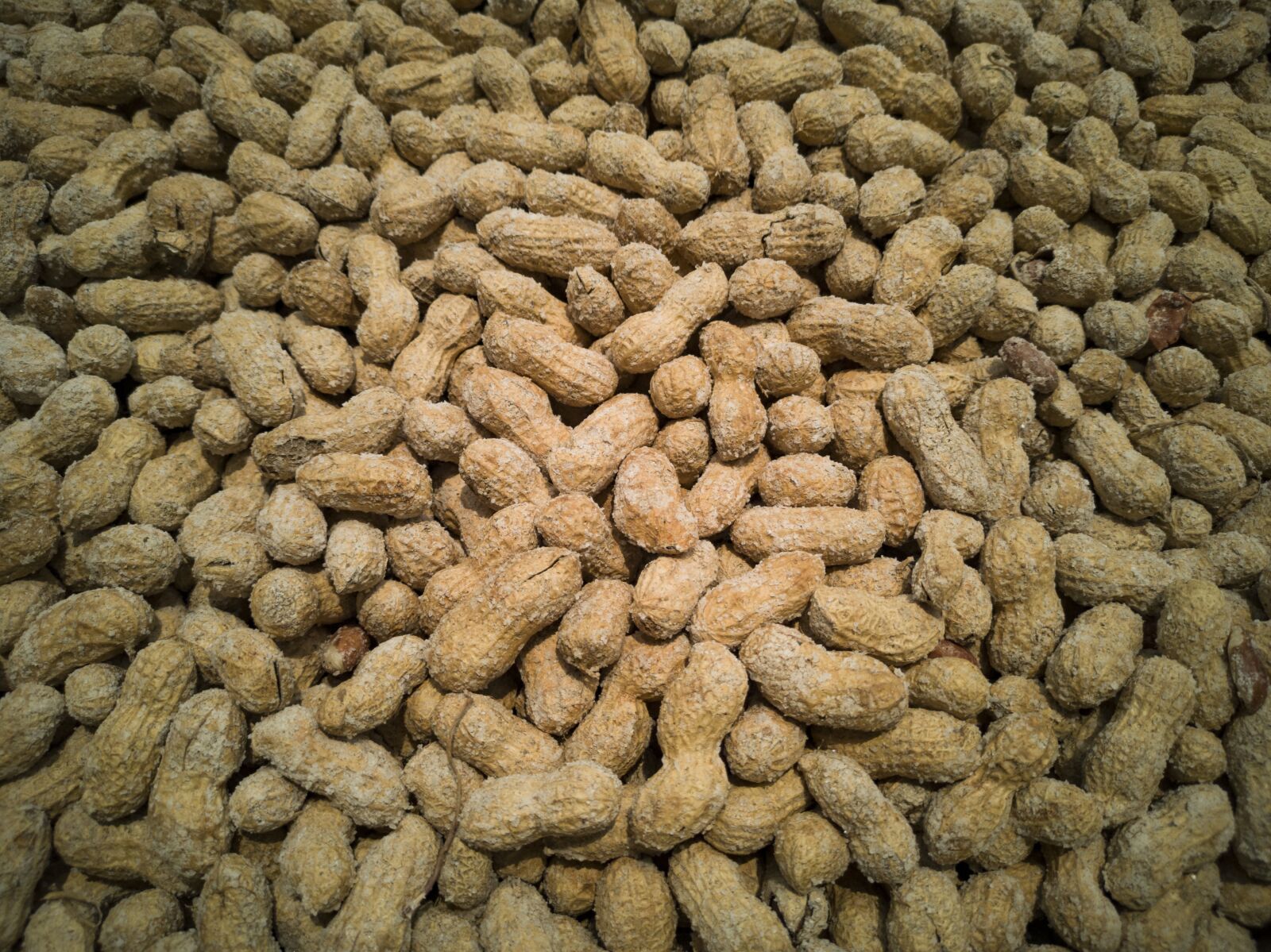 HUAWEI CLT-L09 sample photo. Peanut, shell, food photography