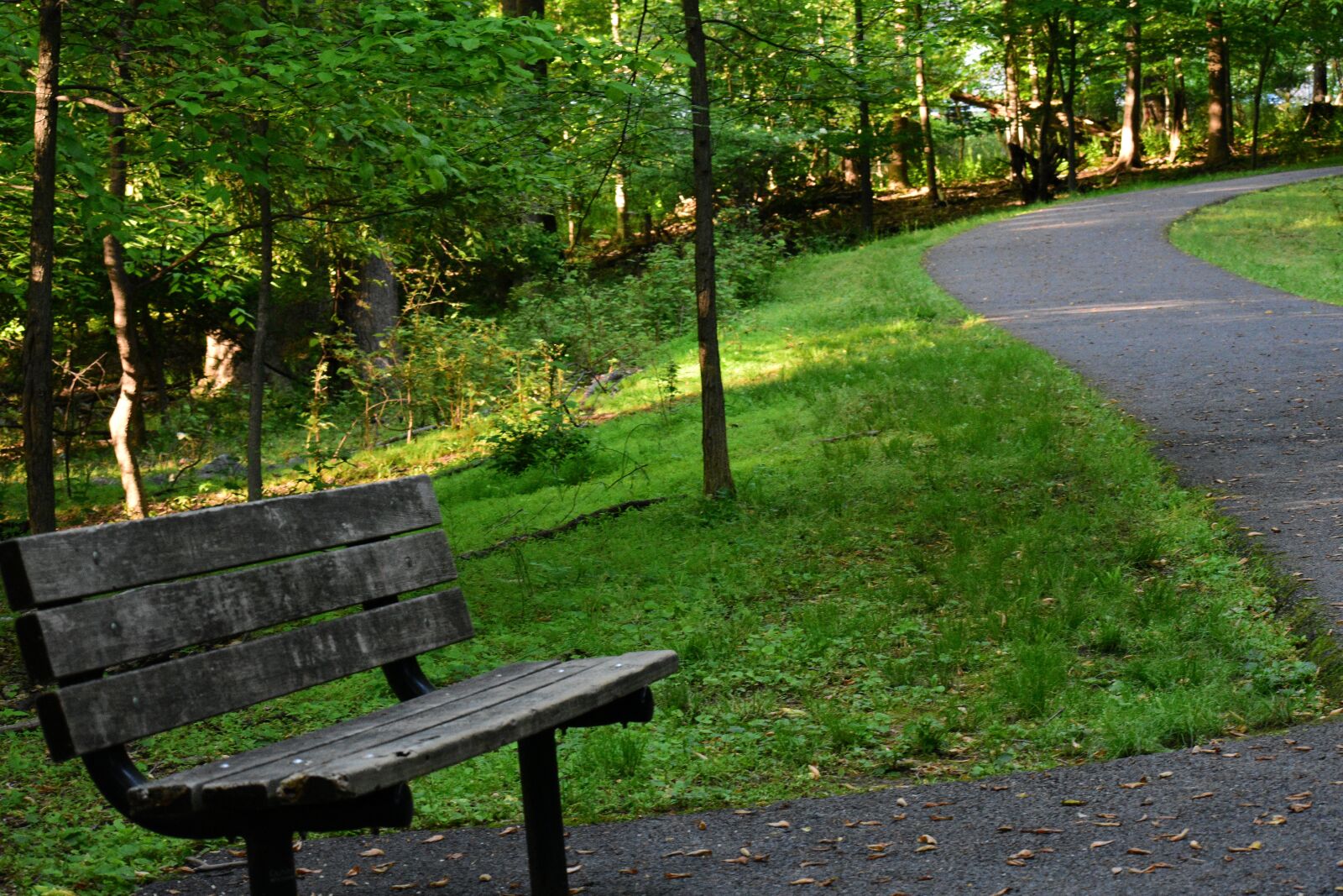 Nikon D3400 sample photo. Bench, trail, nature photography