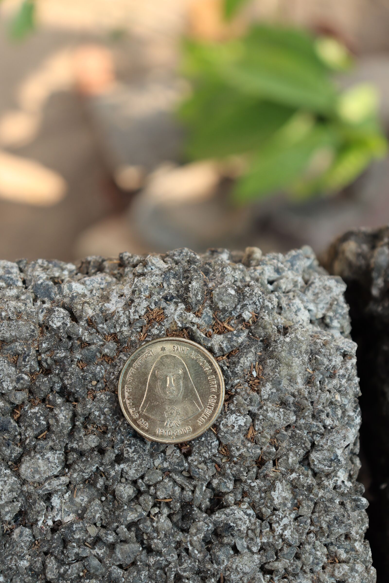 Canon EOS 250D (EOS Rebel SL3 / EOS Kiss X10 / EOS 200D II) sample photo. Coin, money, finance photography