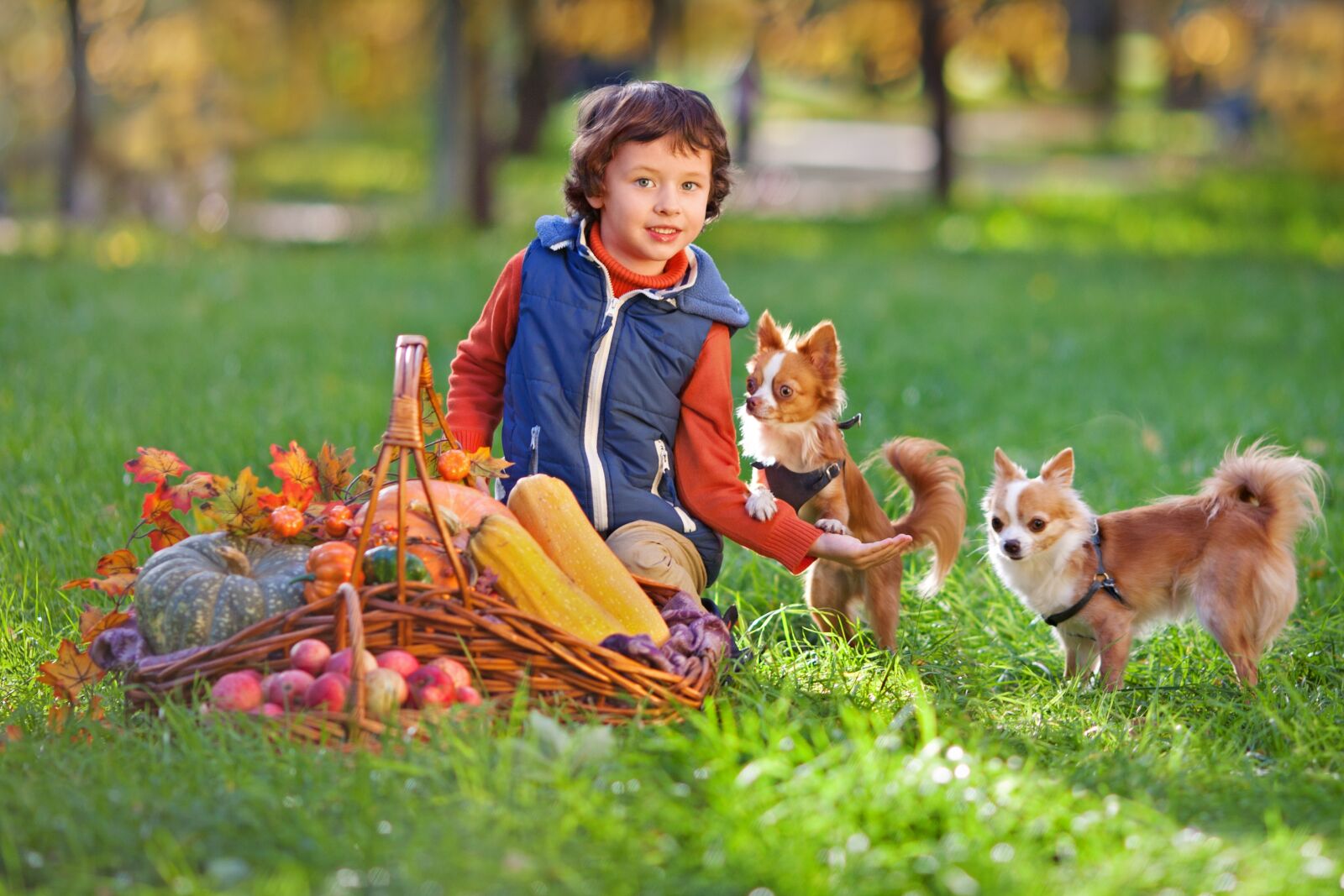Canon EOS 5D Mark II sample photo. Boy, dog, pug photography