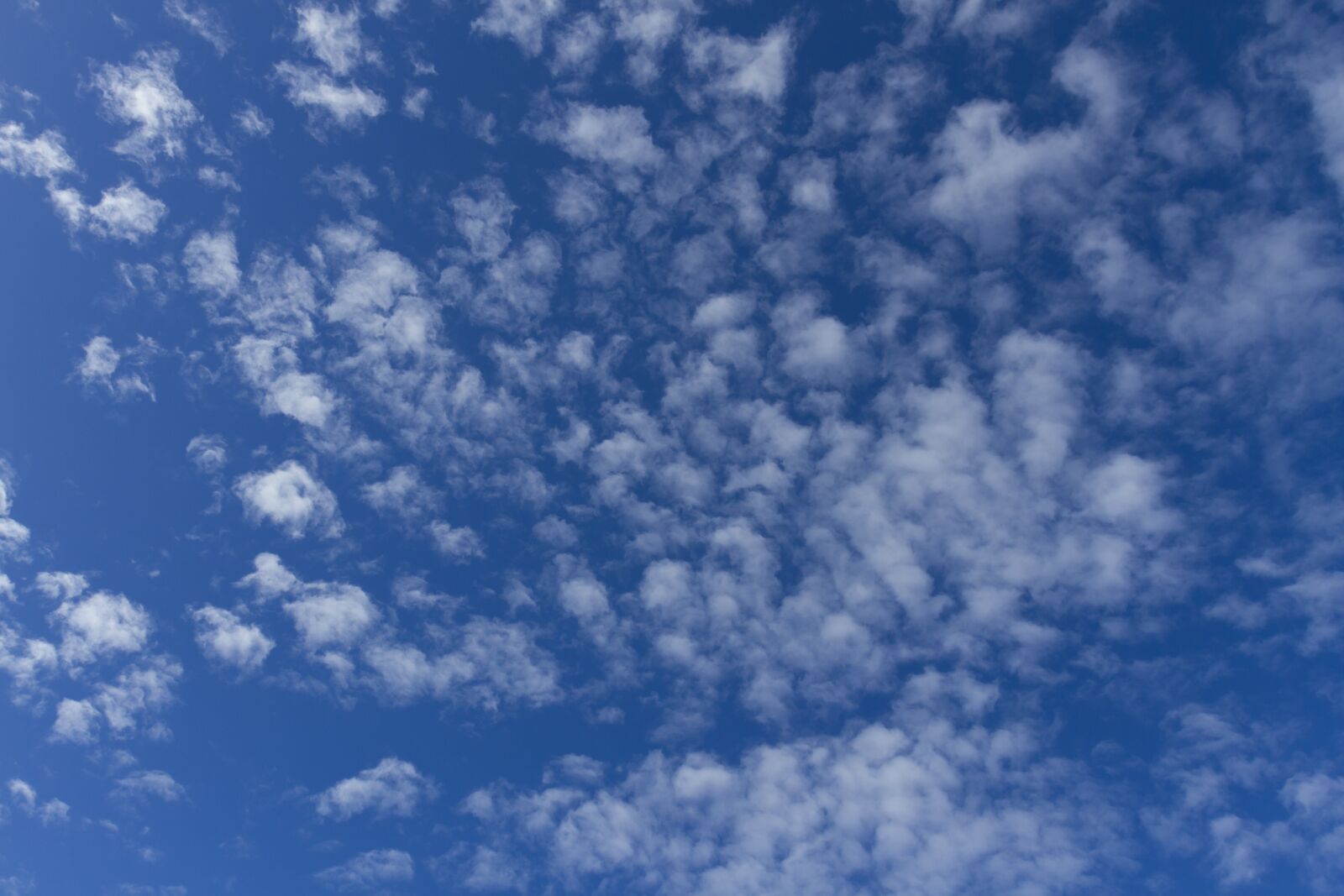 Canon EOS 7D + Canon EF 17-40mm F4L USM sample photo. Clouds, blue sky, sunny photography