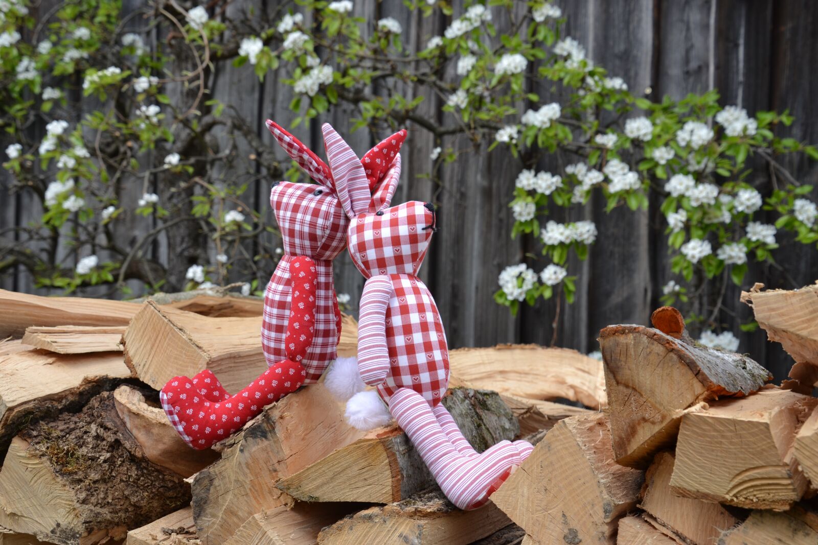Nikon D3100 sample photo. Rabbit ears, easter bunny photography