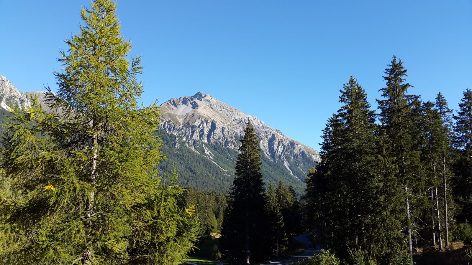 Samsung Galaxy S5 sample photo. Mountain, alpine view, pine photography