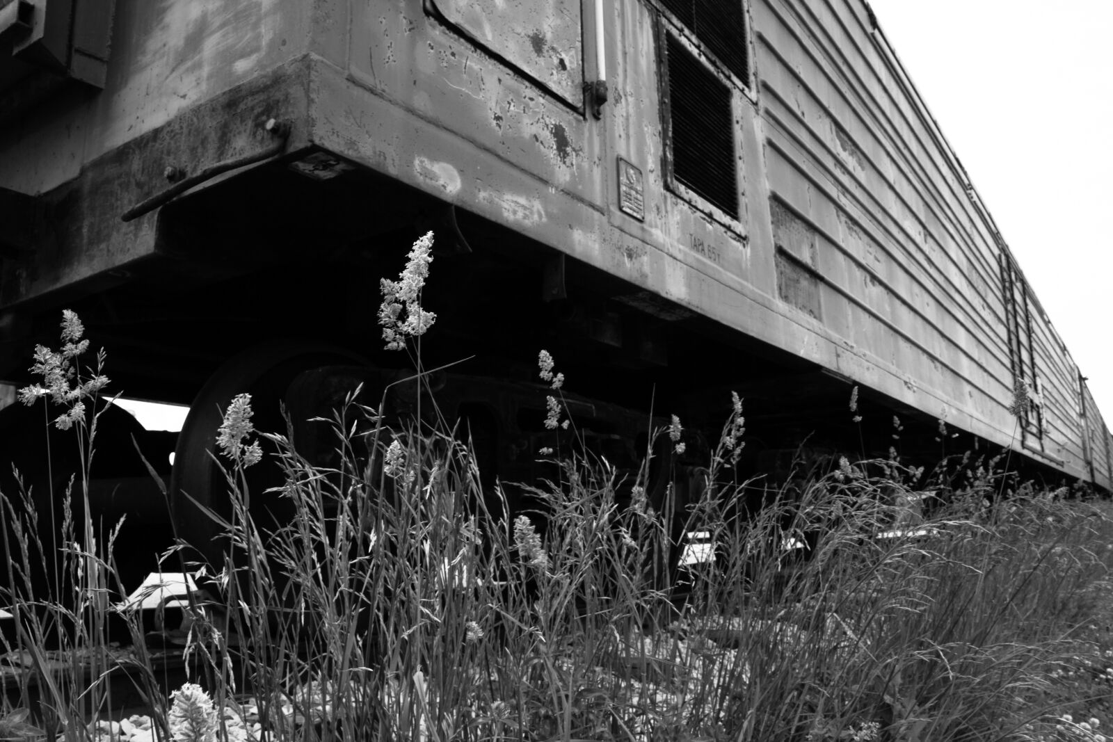 Canon EF-S 18-55mm F3.5-5.6 IS sample photo. Railway, sky, railway carriage photography