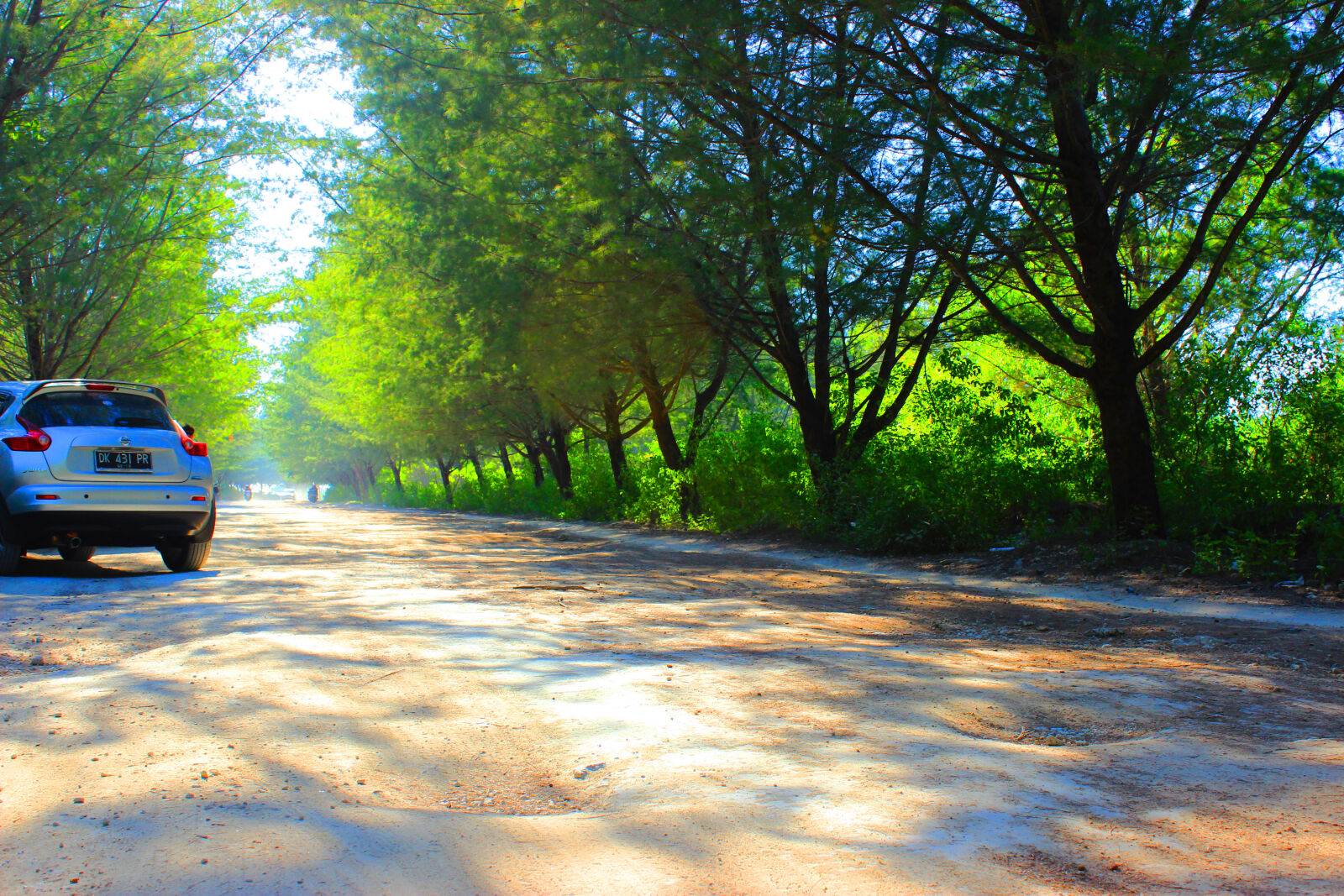 Canon EOS 600D (Rebel EOS T3i / EOS Kiss X5) sample photo. Caronbeside, cool, gogreen, justuploading photography